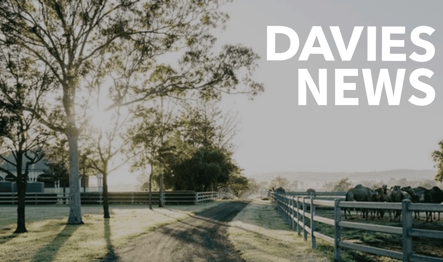 Davies News Newsletter Preview