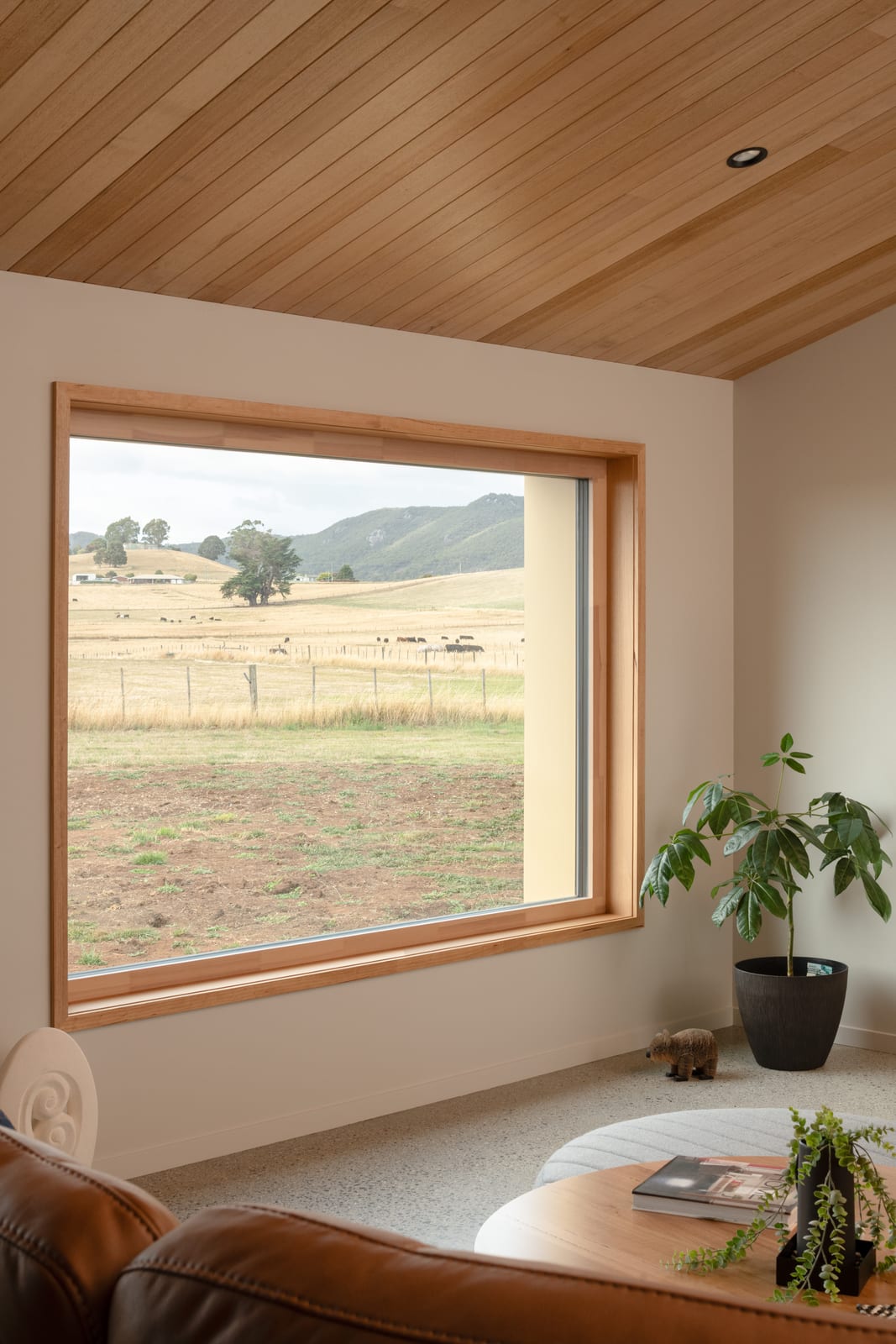 Gallery image 10