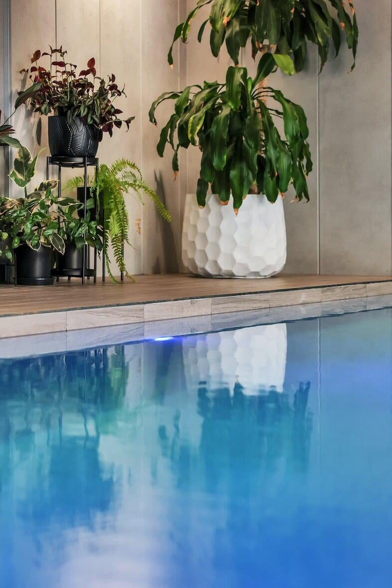 The Pool House — showcase 6